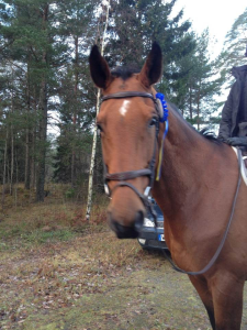 Henke